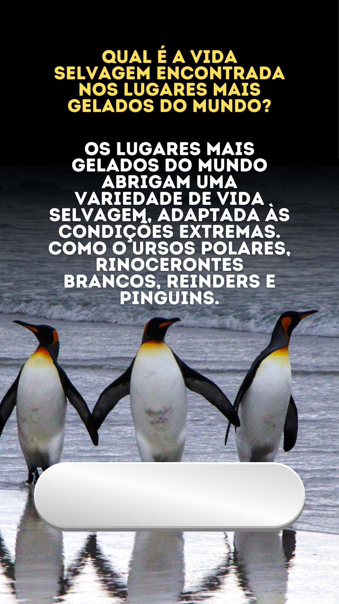 Os lugares mais brrrrr gelados do mundo