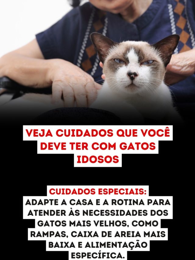 6ESTILOGATO1