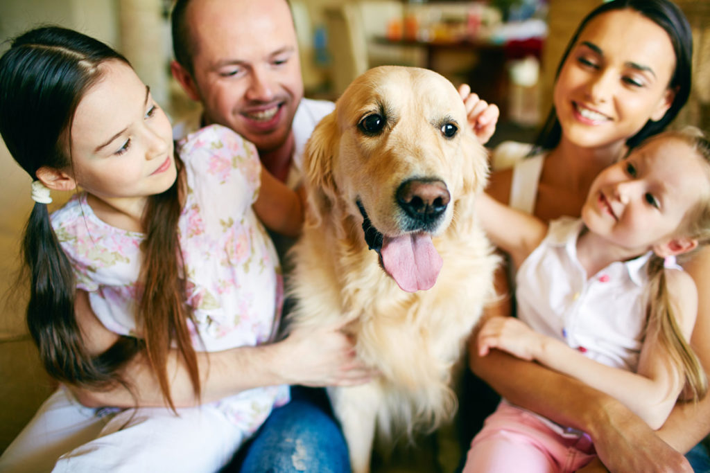 Filme de toda a família e seu Pet