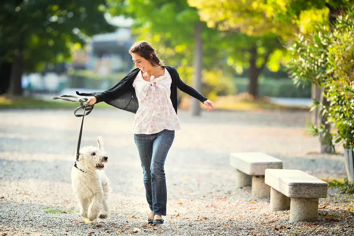 Passeio com o Pet no Rio de Janeiro